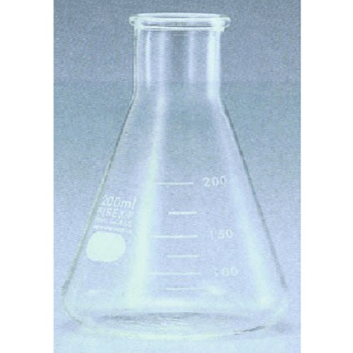 IWAKI Erlenmeyer Flask 250 ml [4980-250N]